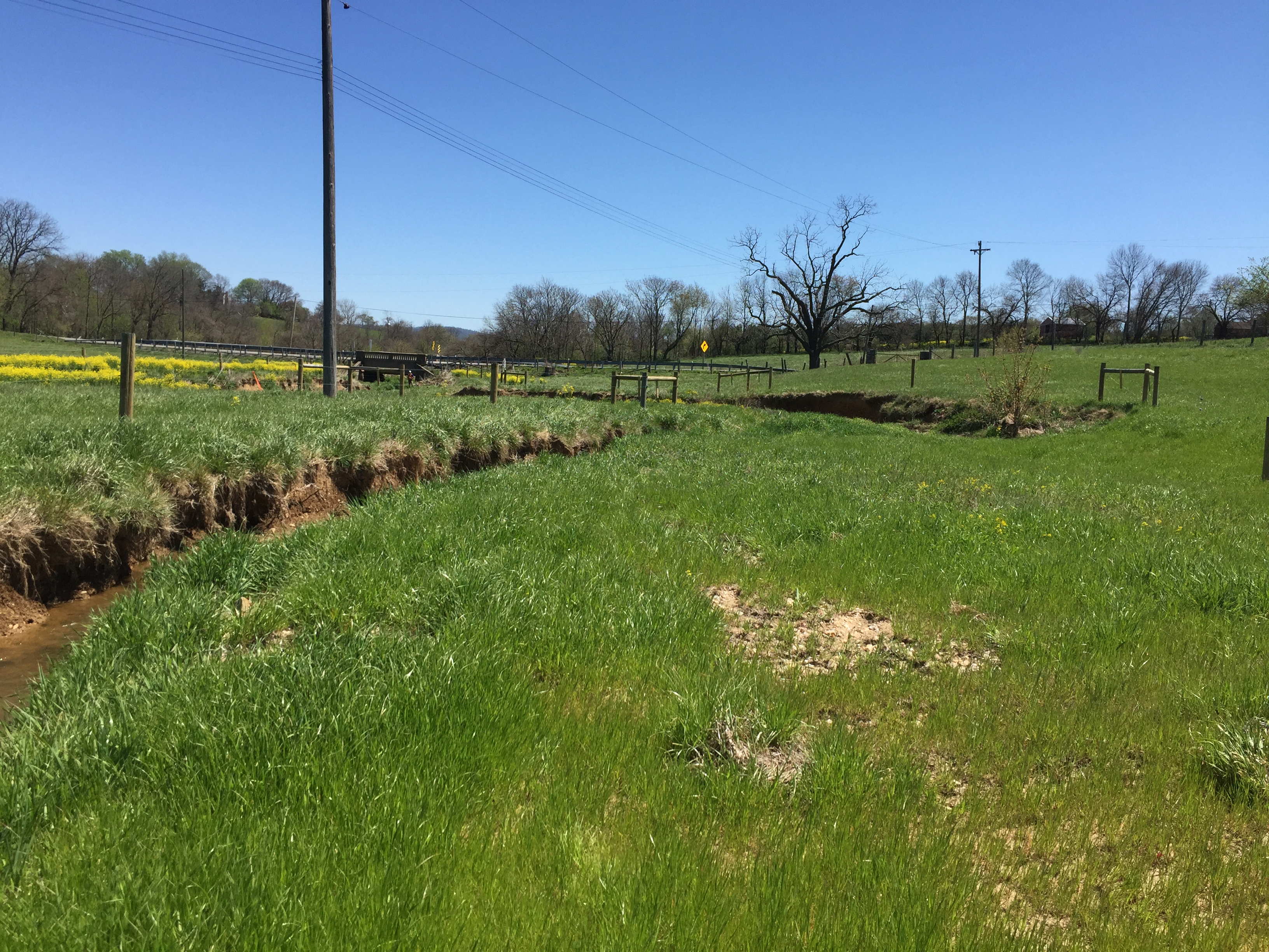 Field photo showing stream conditions at site PRFR-107-X-2016_midpoint looking downstream